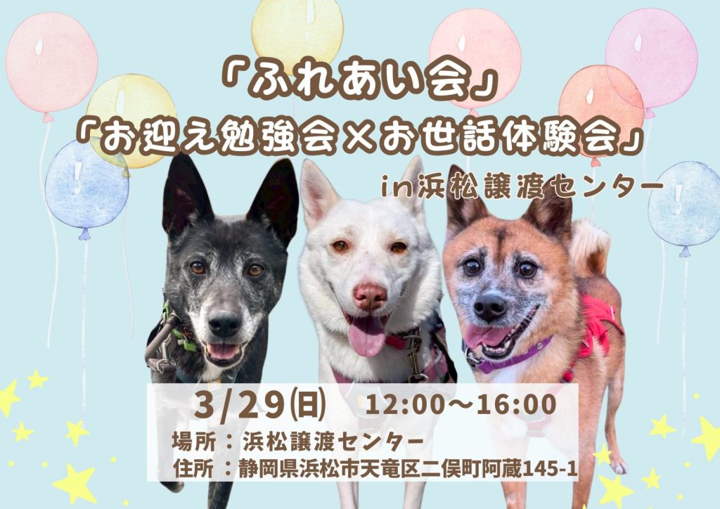 4b0d233eb202ee5f8cc2b87a5bbbc432