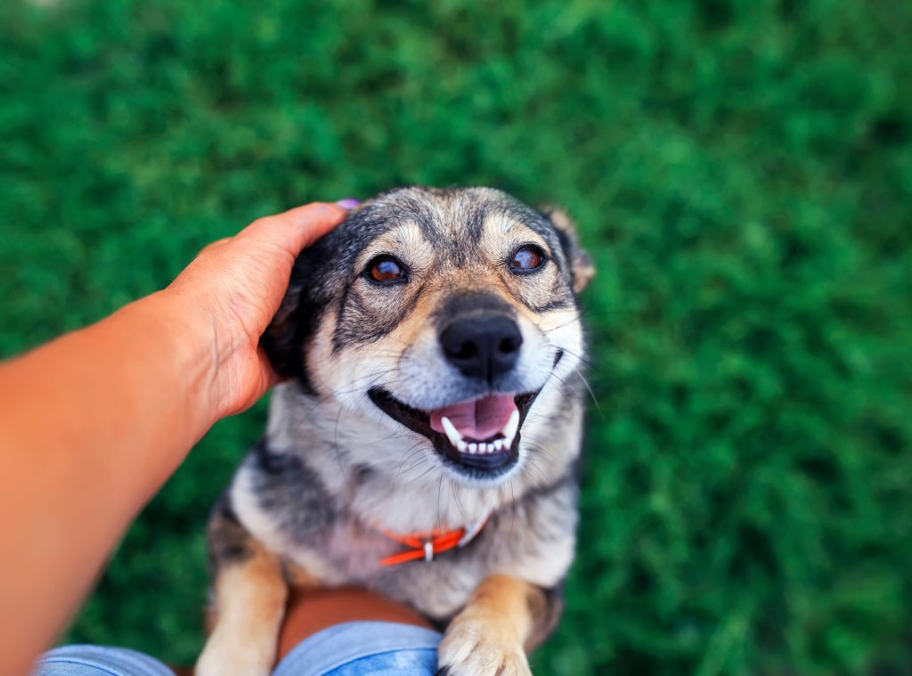 Journal 1 8ec1954e025a8820f5028107c75a8337