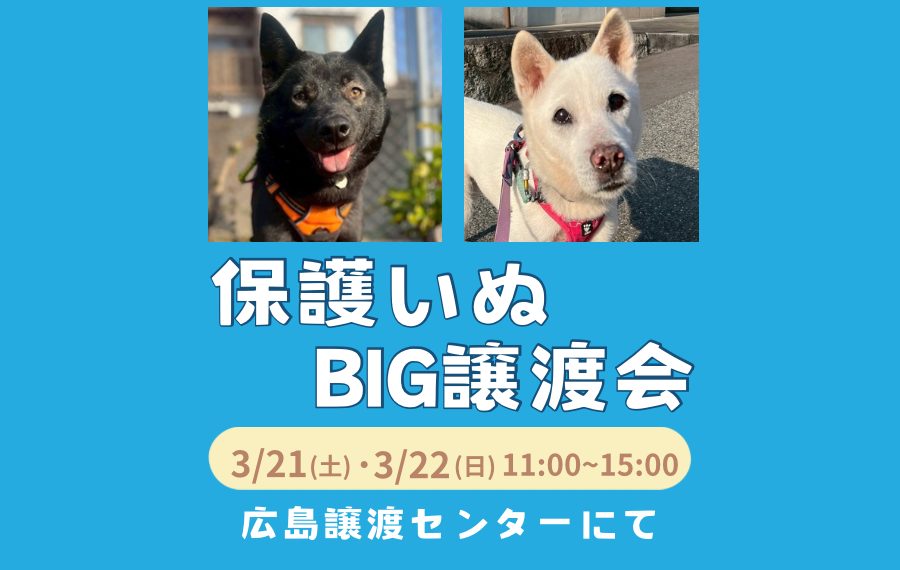 4DC634C1 E966 4984 A9C8 1785086E088A