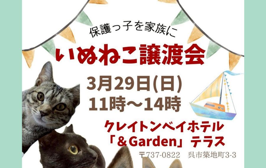 譲渡会・イベントのご案内 4 3 2 1