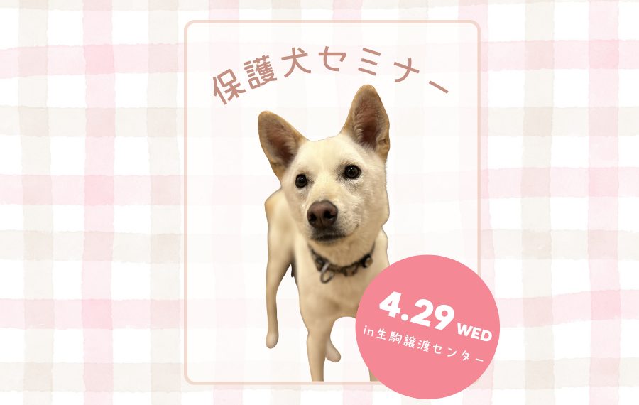 5953d7a7bc865ac42180c34381f1dd38 1