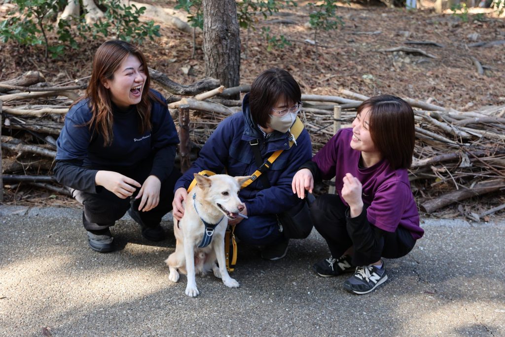 【湘南譲渡センター閉店】11年間本当にありがとうございました! 3 7cacf911929194a596147be68bc05288