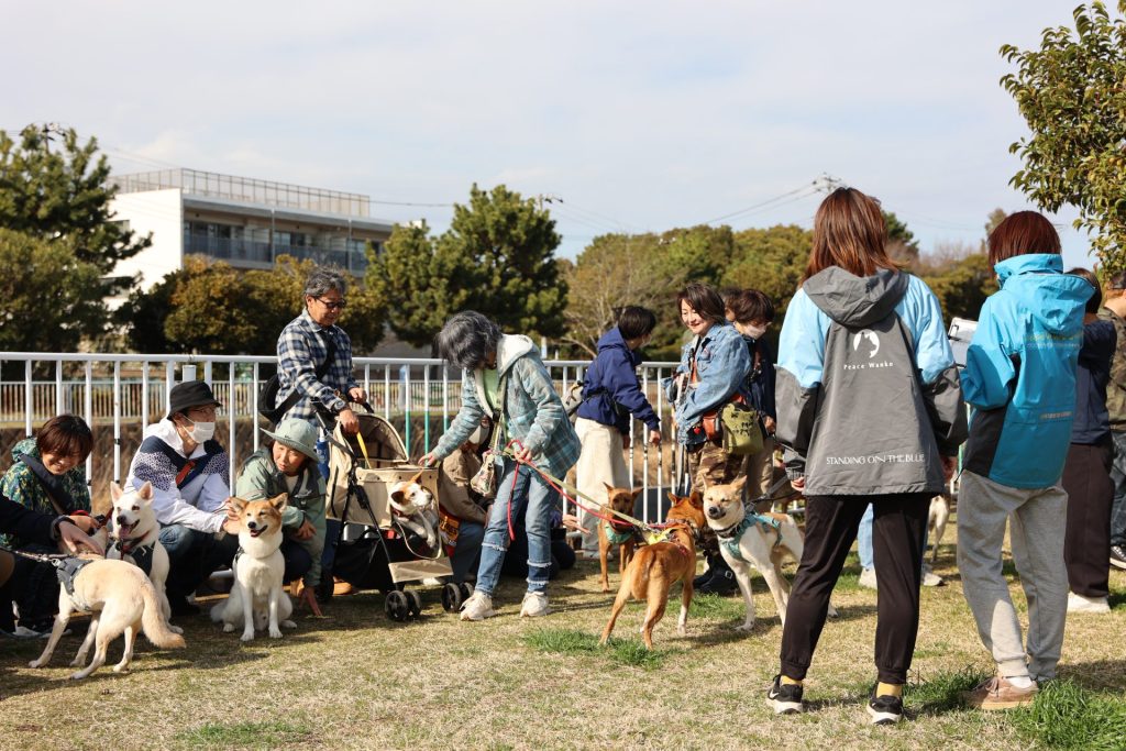 【湘南譲渡センター閉店】11年間本当にありがとうございました! 5 5d07034a02cb88e756a382bec70de1c5