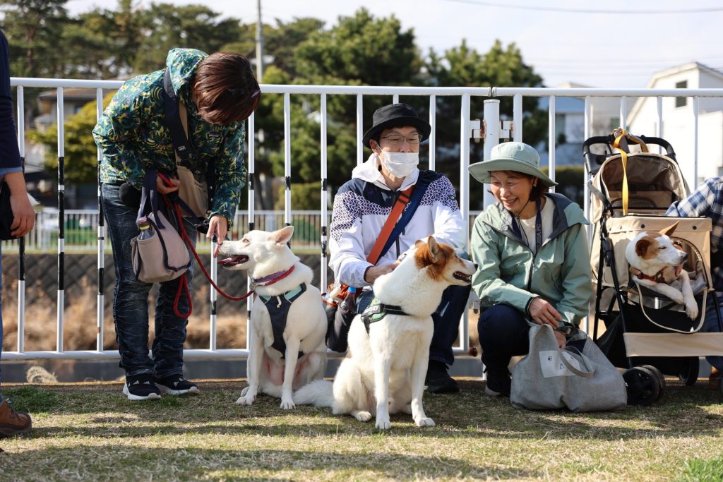 【湘南譲渡センター閉店】11年間本当にありがとうございました! 6 3854b1dc13862473985f08f132963964