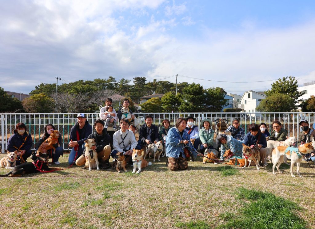 Journal 2 48ce0de84df18d29f8e47cec51a2fed4