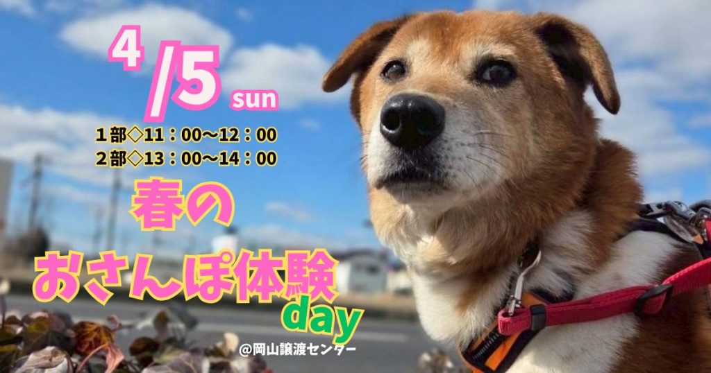 【ピースワンコのイベント】4/5(日)「春のお散歩体験day」を開催(岡山譲渡センター) 1 春のお散歩体験