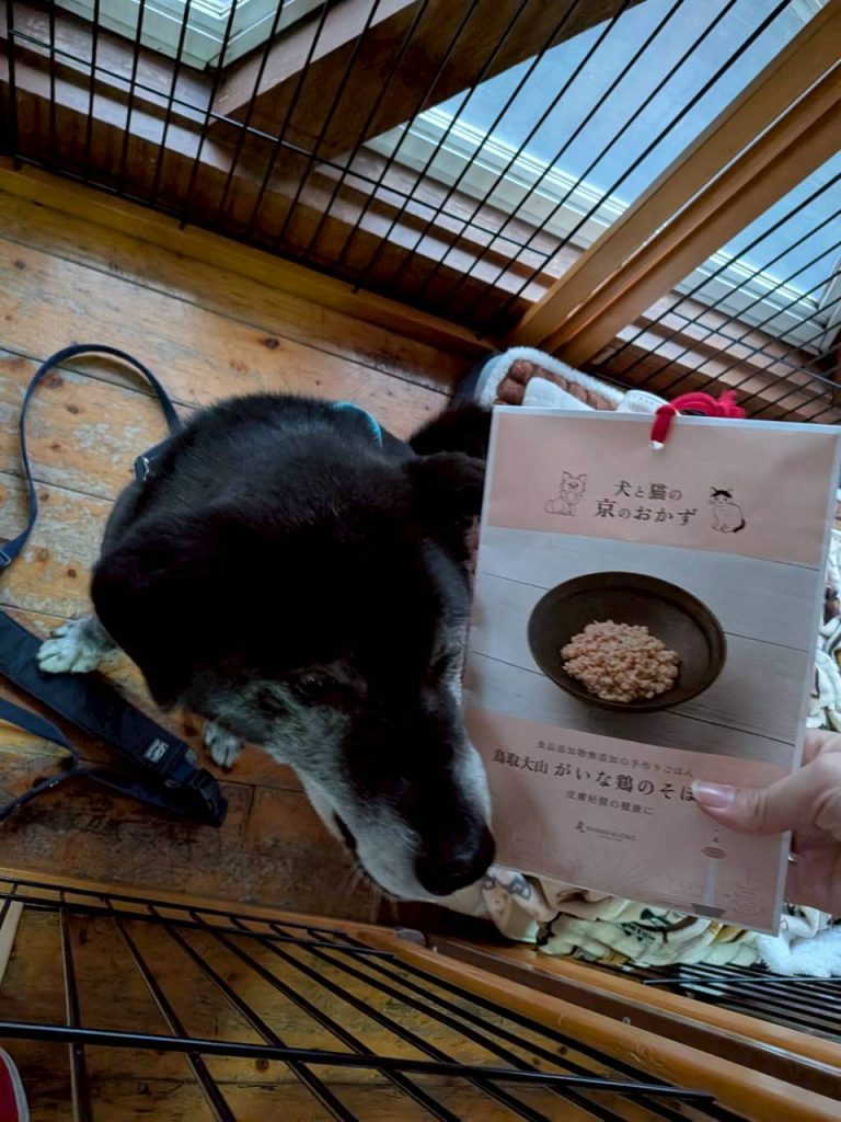 ワンだふるファミリーからの近況報告:2026年3月22日(日曜日) 14 24a43615bbe72df974b2cf5d530742df 1