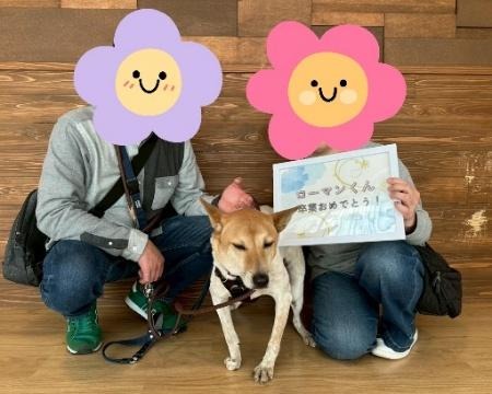 ワンだふるファミリーからの近況報告:2026年3月22日(日曜日) 25 image 16