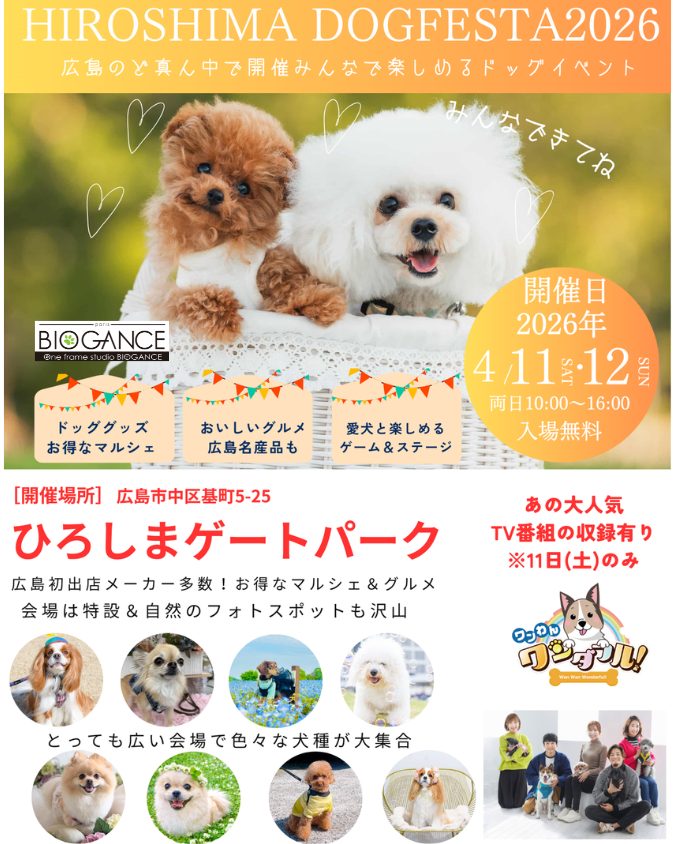 ピースワンコの譲渡会】4/11(土)、12(日)「HIROSHIMA DOG FESTA 2026