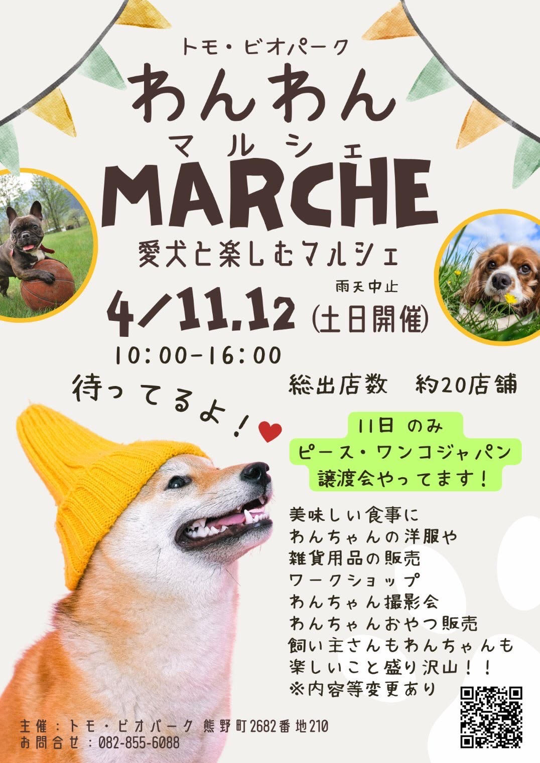 ピースワンコの譲渡会】4/11（土）「トモビオわんわんマルシェ」に参加