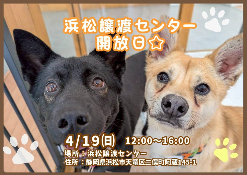 ピースワンコのイベント】4/19（日）「浜松譲渡センター開放日！保護犬