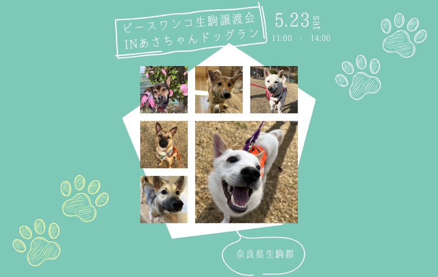 ピースワンコの譲渡会】5/23(土)「ピースワンコ譲渡会in あさちゃん