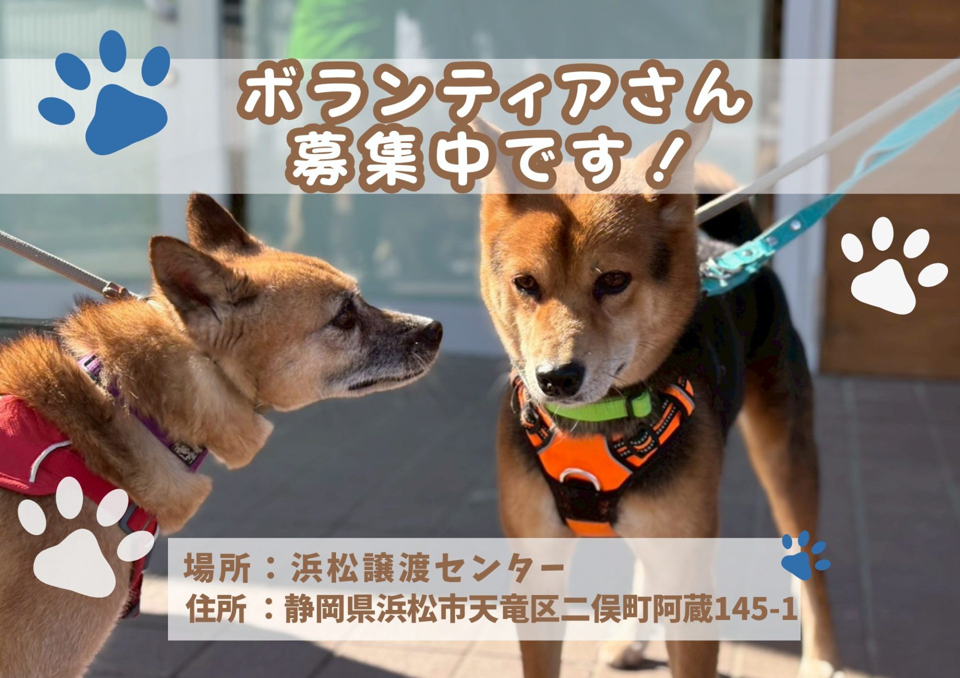 ピースワンコのイベント】5/31（日）「ボランティア説明会」開催（浜松