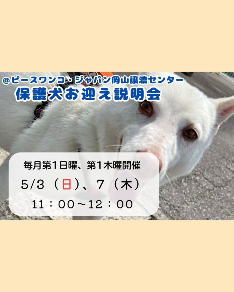 ベース12月15日までのお取引で破格でお譲りします！ ピースワンコのイベント】5/7(木)「保護犬お迎え説明会」（岡山譲渡