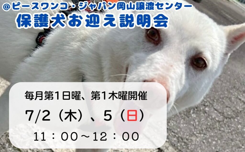 ピースワンコのイベント】7/2(木)、5(日)「保護犬お迎え説明会」（岡山