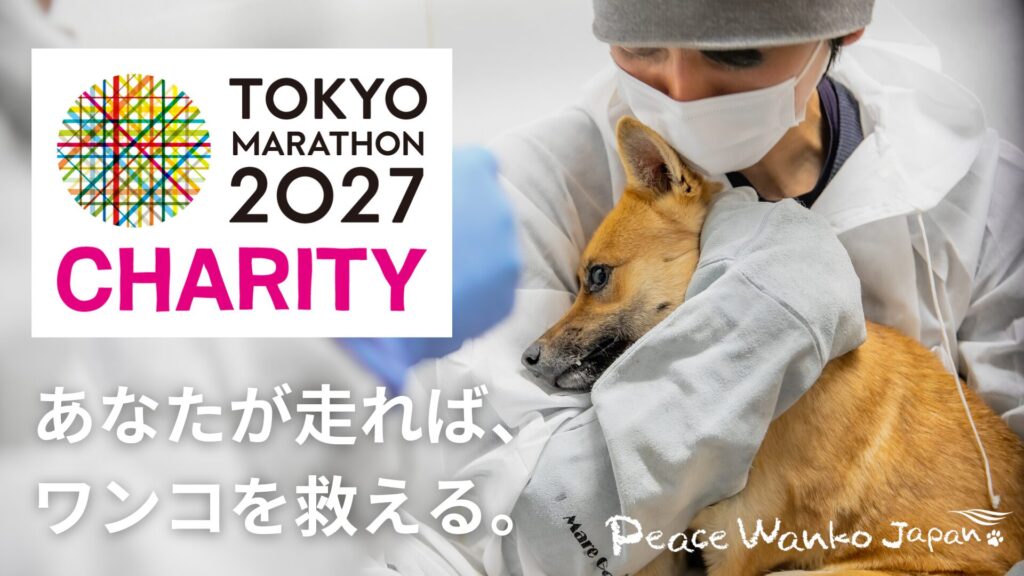 東京マラソン2027チャリティを通じて、ピースワンコを支援して