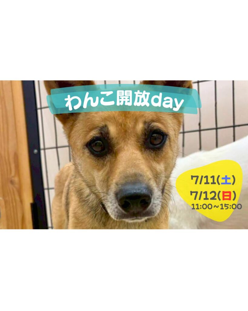 ピースワンコのイベント】7/11(土)、12(日)「ワンコ🐶開放day」(岡山