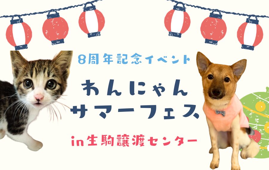 ピースワンコのイベント】8/1(土)、2(日)わんにゃんサマーフェス（生駒