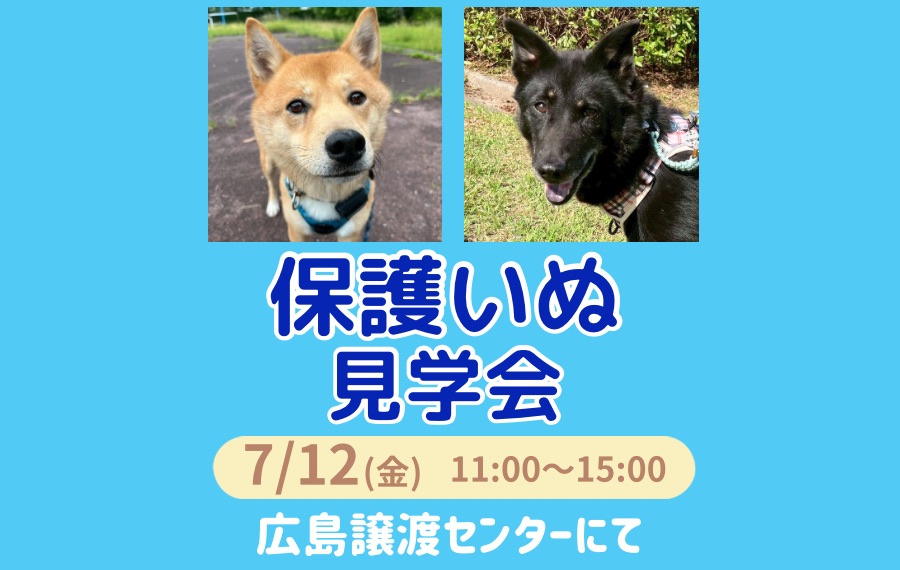 ピースワンコのイベント】7/12(日)「保護いぬ見学会」開催（広島譲渡