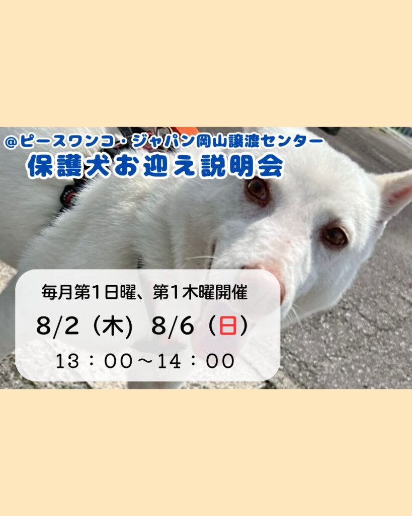 ピースワンコのイベント】8/2(日)、6(木)「保護犬お迎え説明会」（岡山