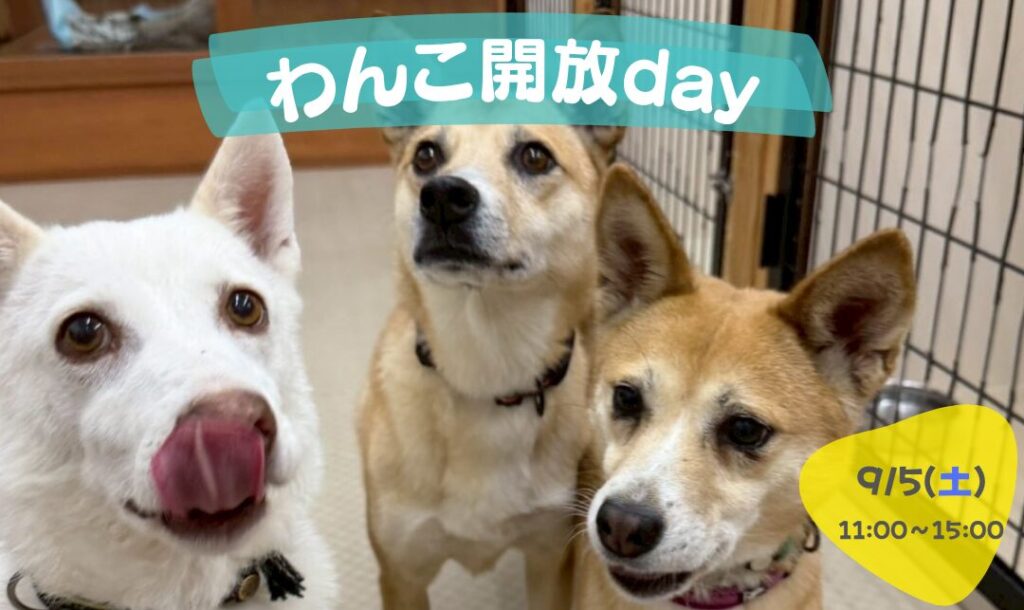 ピースワンコのイベント】9/5(土)「わんこ開放day」(岡山譲渡センター