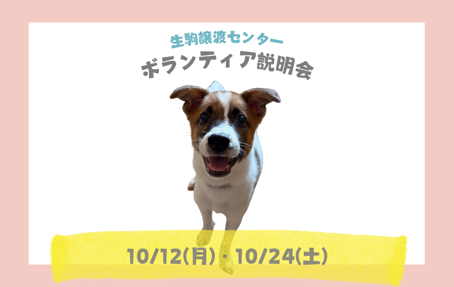ピースワンコの譲渡会】9/27(日)「あつまれ！保護わんの森」開催（大阪